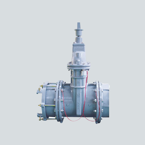 Gate Valves