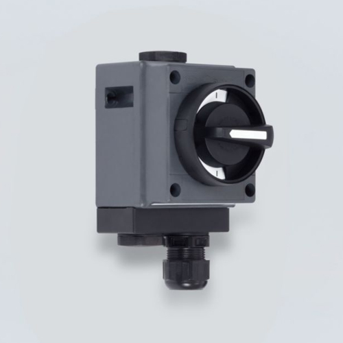 Control Boxes Series 8040/11-V30
